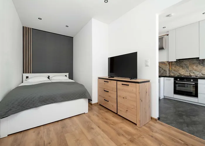 Praktyczne Blisko Centrum Wroclawia By Renters 公寓 弗罗茨瓦夫